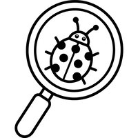 Coccinelle sous une loupe