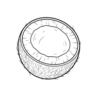 Noix de Coco Coupée en Deux