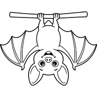 Cute Bat Hanging Upside Down