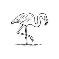 Yndefuld Flamingo i Vandet